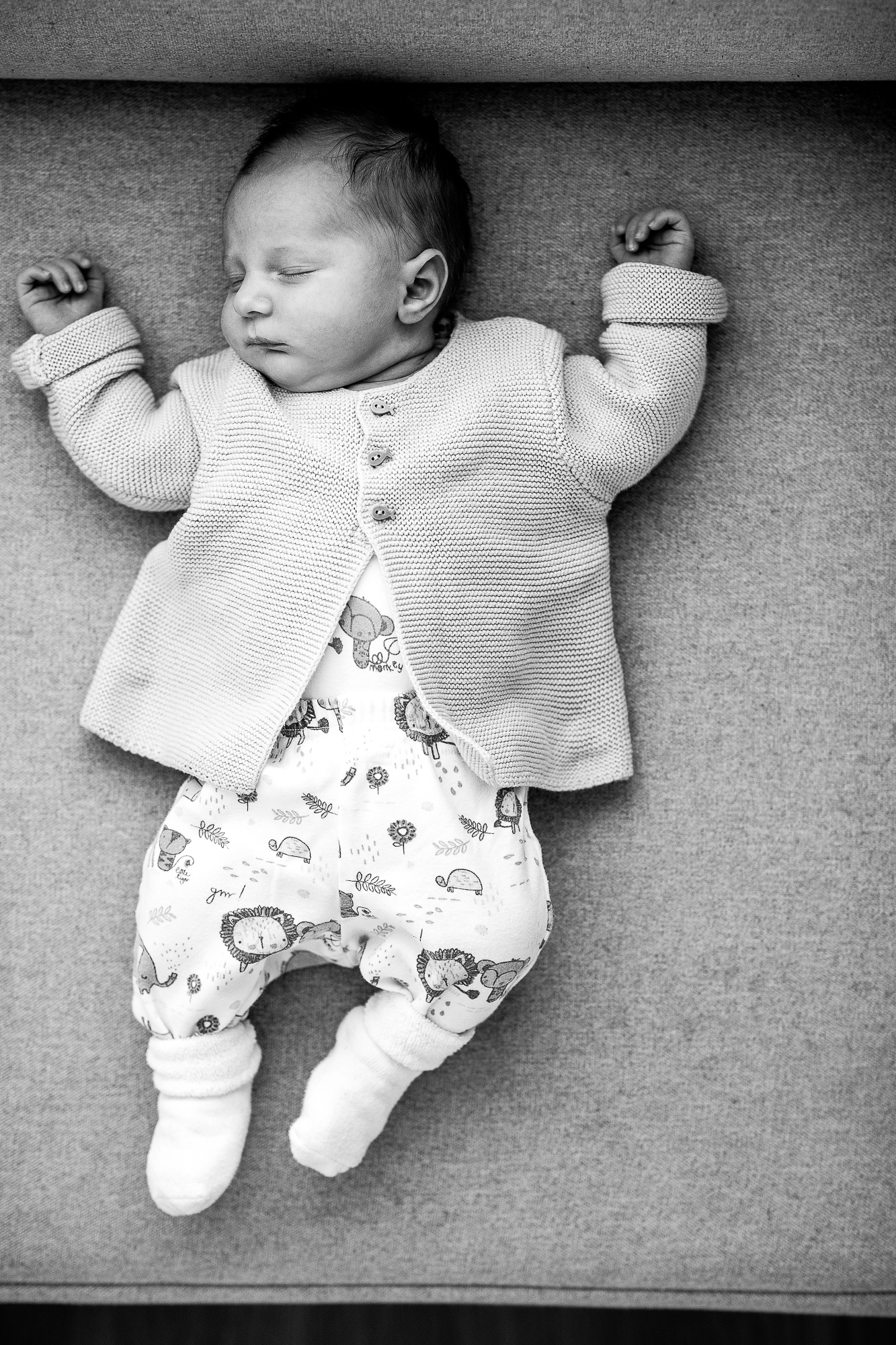 Export x3 1DX28368 Bearbeitet Familienfotoshooting 2019 Hefti 2